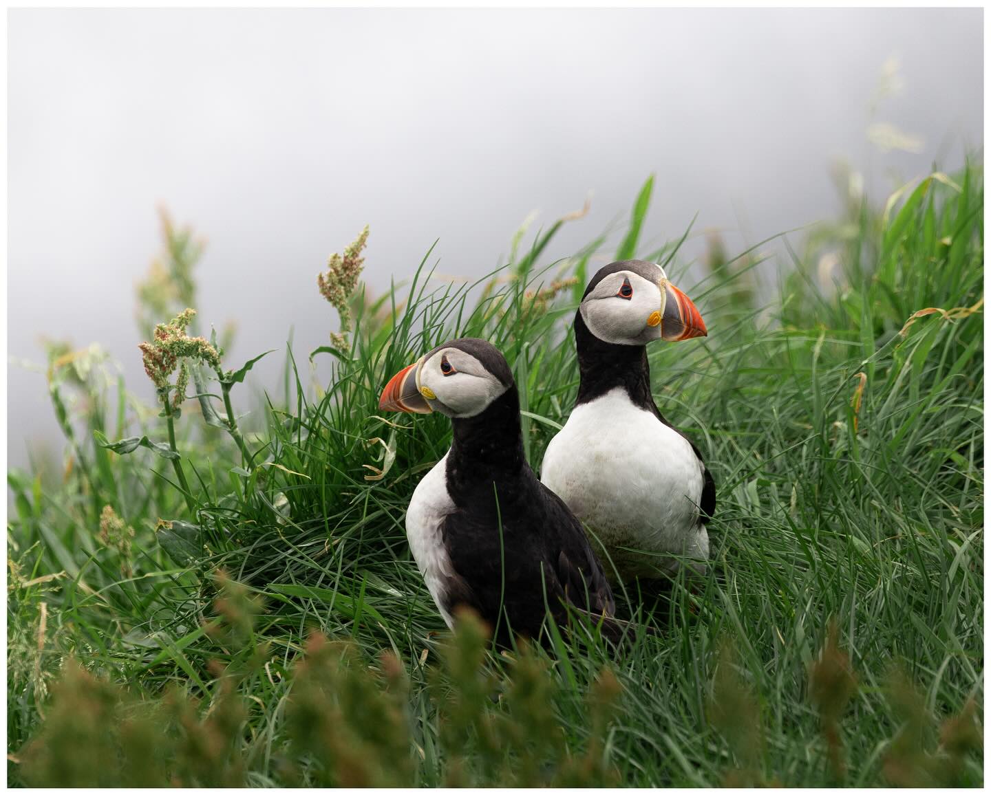 Photograph by Cédric Waldburger