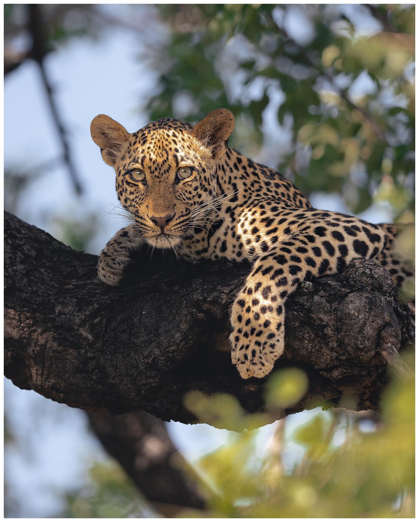 Photograph by Cédric Waldburger