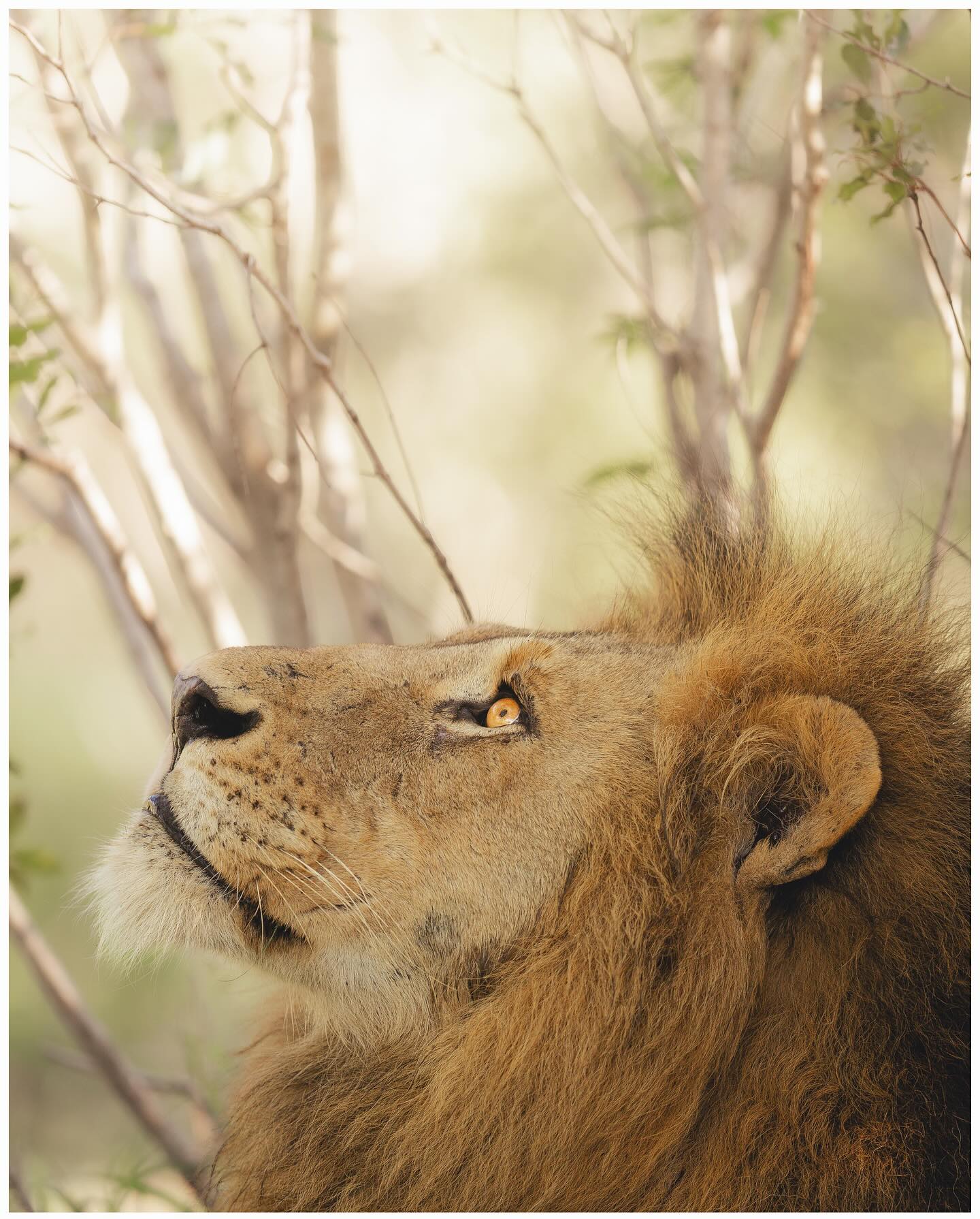 Photograph by Cédric Waldburger