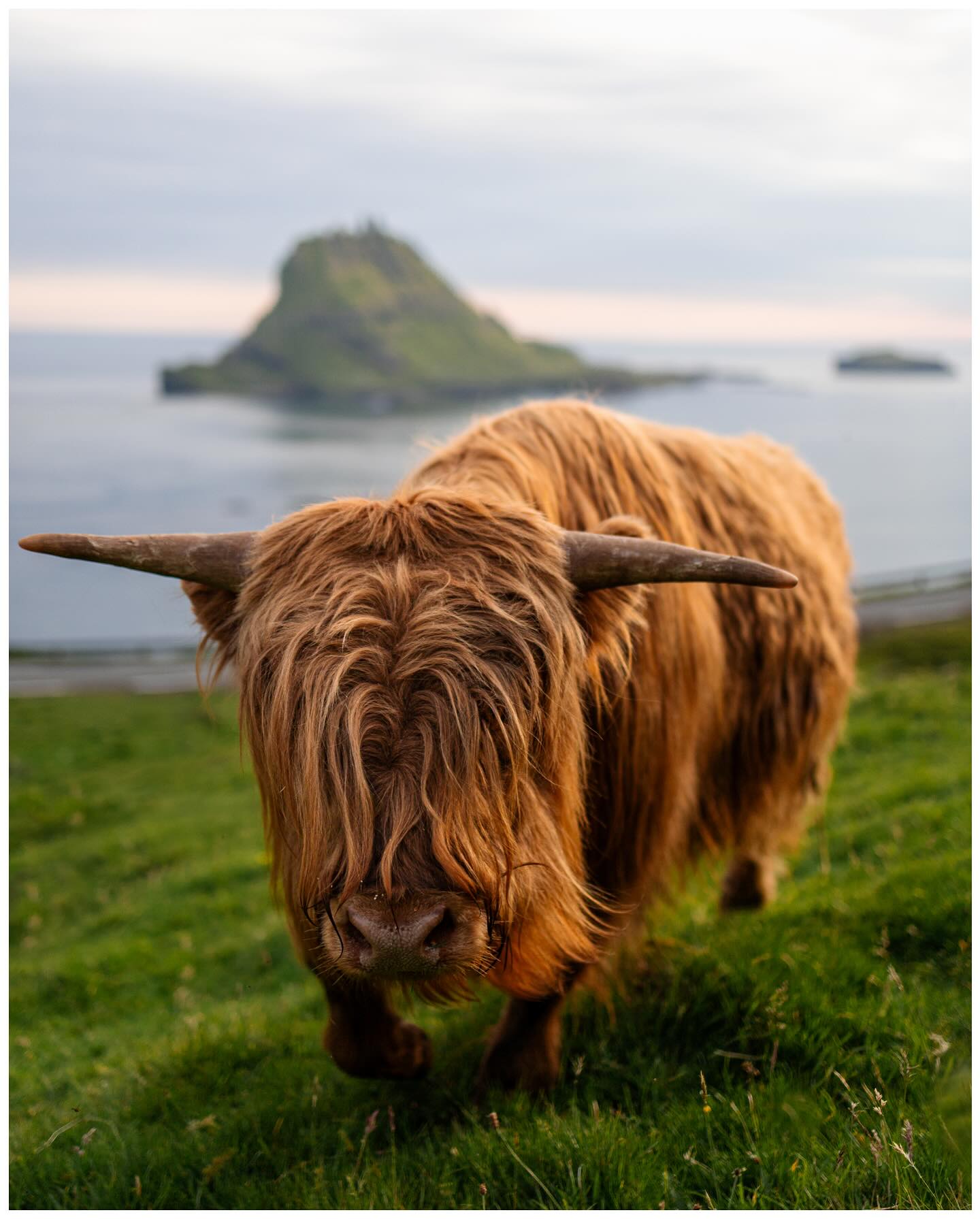 Photograph by Cédric Waldburger