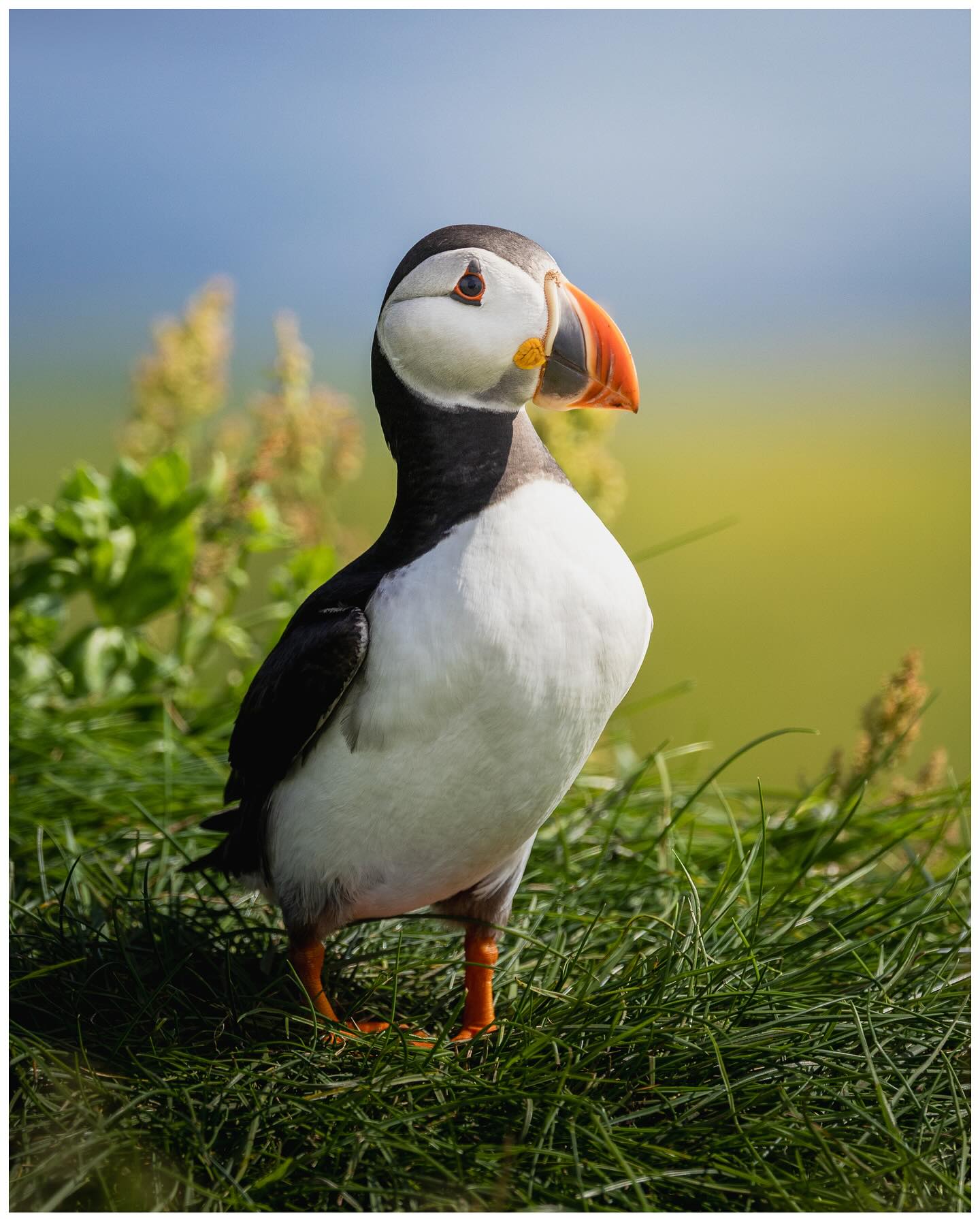 Photograph by Cédric Waldburger