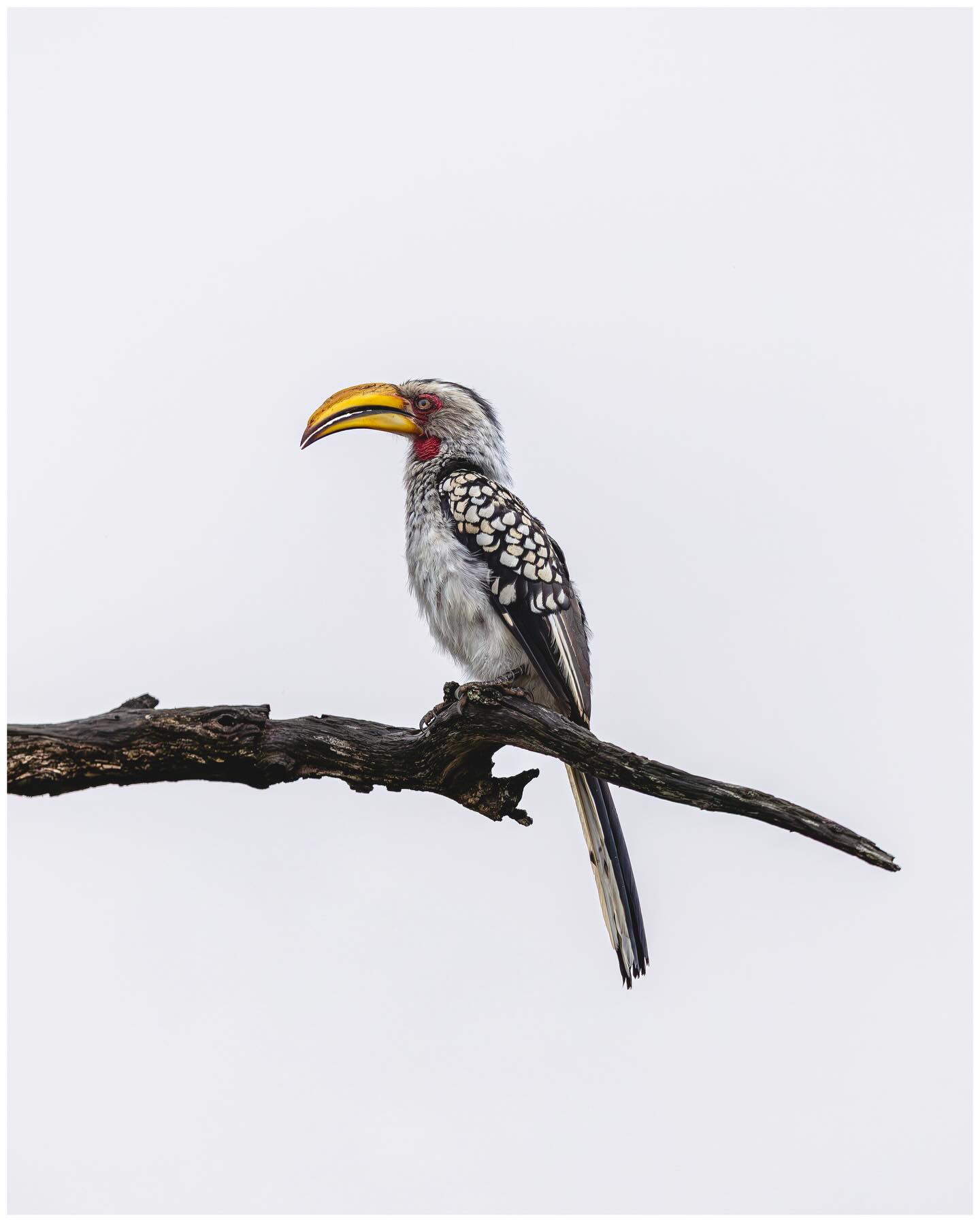 Photograph by Cédric Waldburger