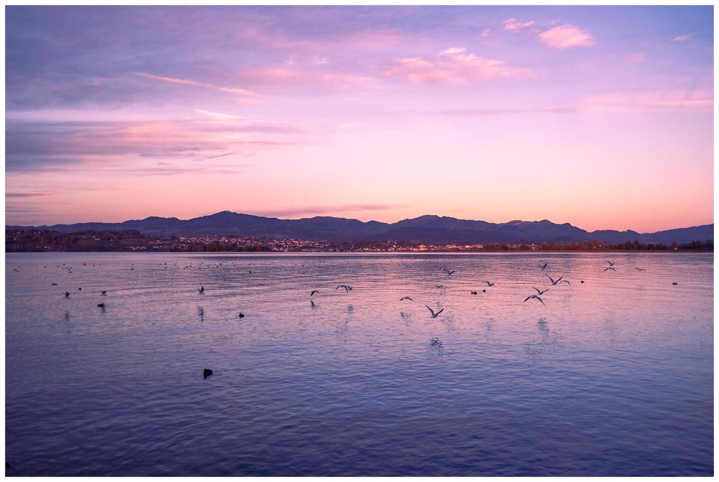 Early birds